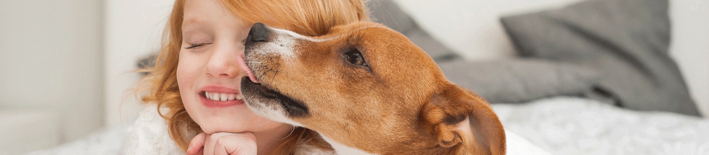 Why Beet Pulp is Good for Dogs