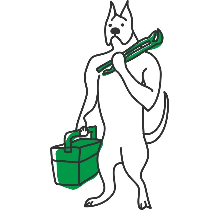 How Much Exercise Does My Dog Need?