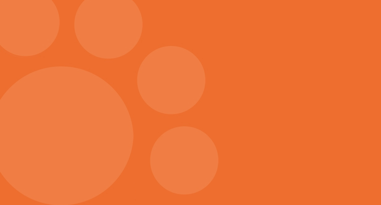 cat-article-detail-banner-mob-new.png