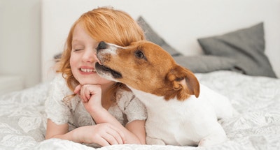 Why Beet Pulp is Good for Dogs