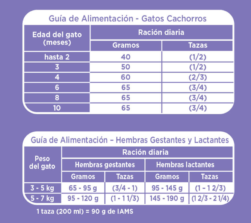 Feeding Guideline